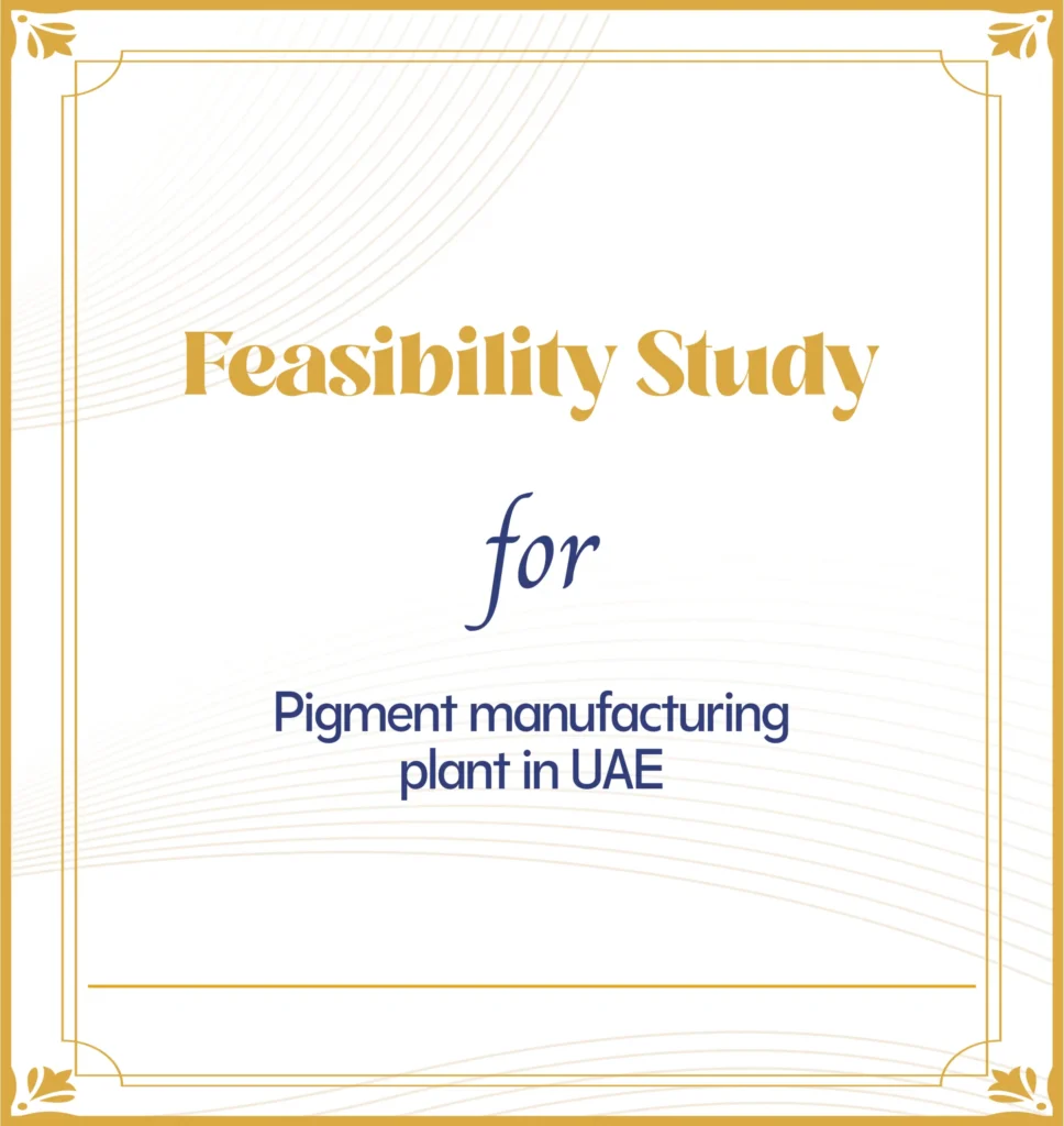 feasibility study services