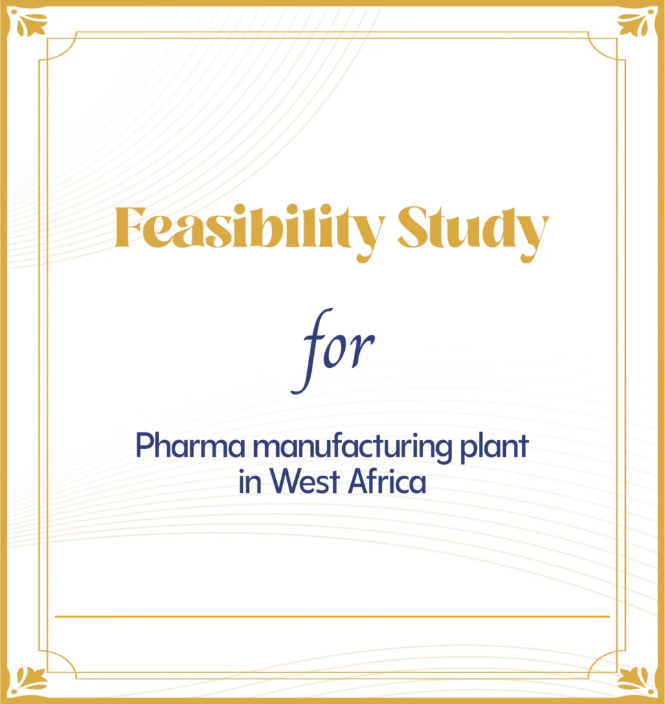 feasibility study services